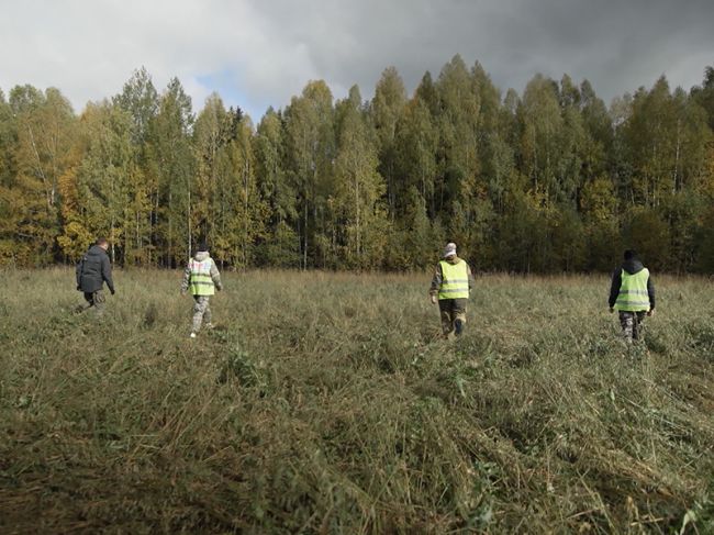 Вернувшиеся 5 сезон 10 выпуск от 17.11.2023