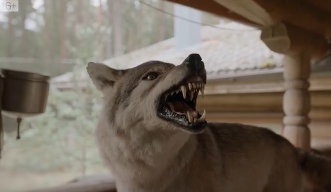 Здесь все свои 1 сезон 5 и 6 серия